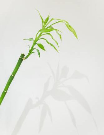博士課程