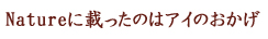 松沢哲郎・はじめに 英語論文・論文 英語・アカデミック 英文 数字