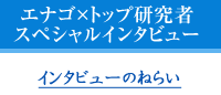 論文英訳・英語論文翻訳・翻訳論文