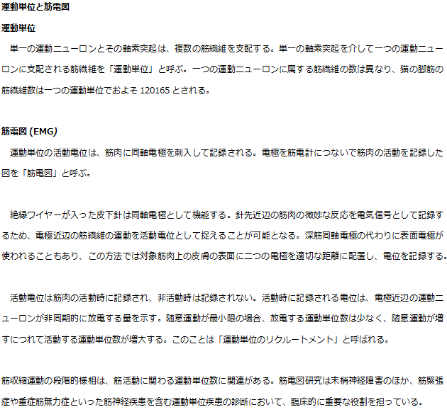 英訳サービス・翻訳会社